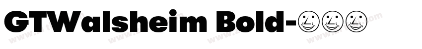 GTWalsheim Bold字体转换 GTWalsheim Bold字体转换